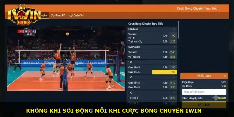 Cá cược bóng chuyền iWin - ảnh 1