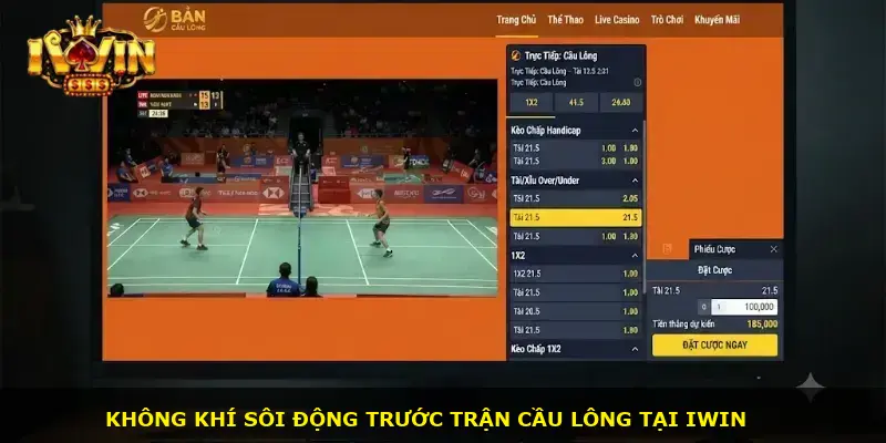 Cá cược cầu lông iWin - ảnh 1